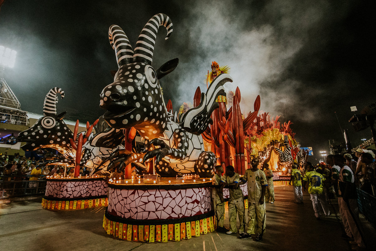 desfile-grupo-especial-escola-de-samba-rio-de-janeiro-brasil-2019-carnaval-15