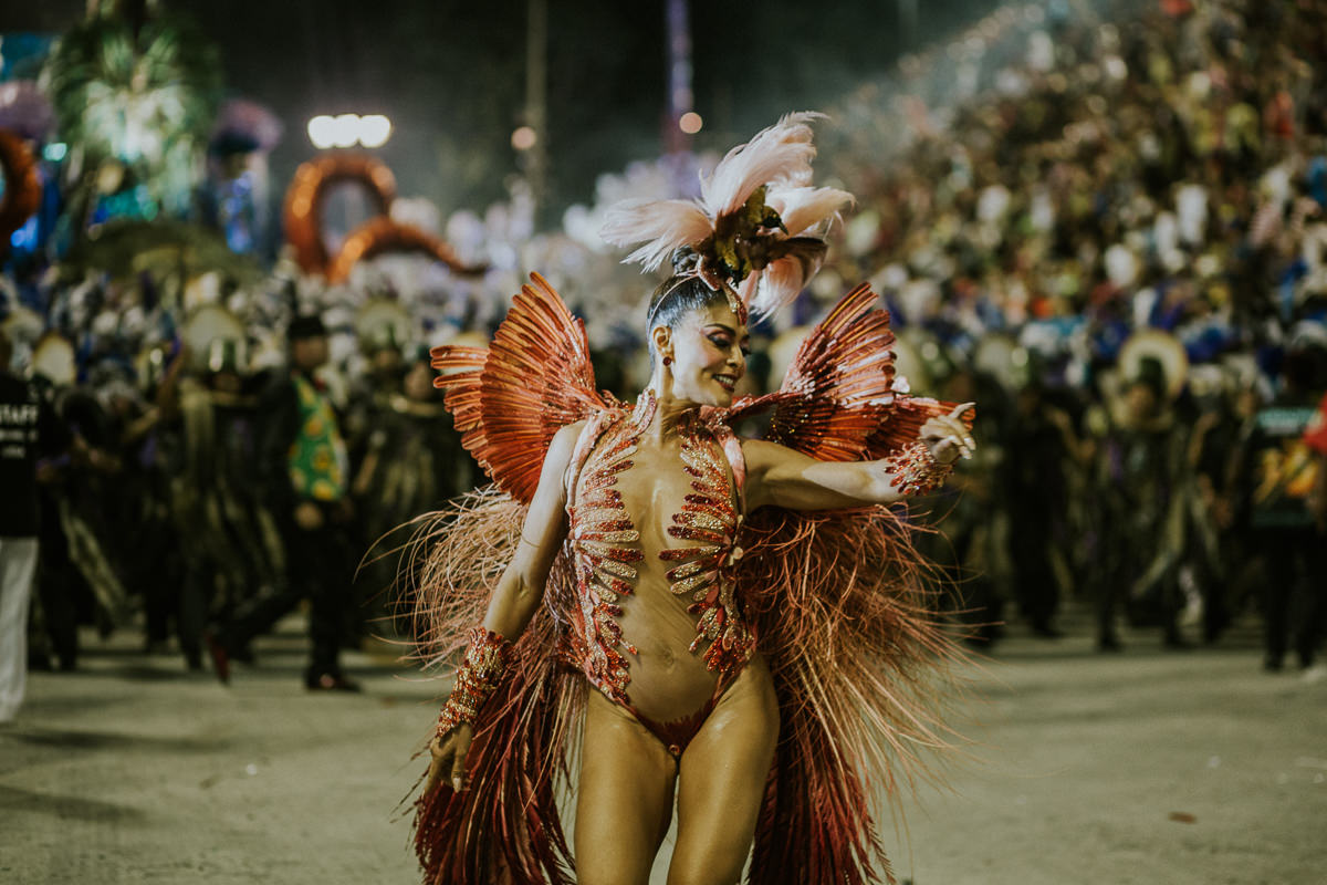 desfile-grupo-especial-escola-de-samba-rio-de-janeiro-brasil-2019-carnaval-75